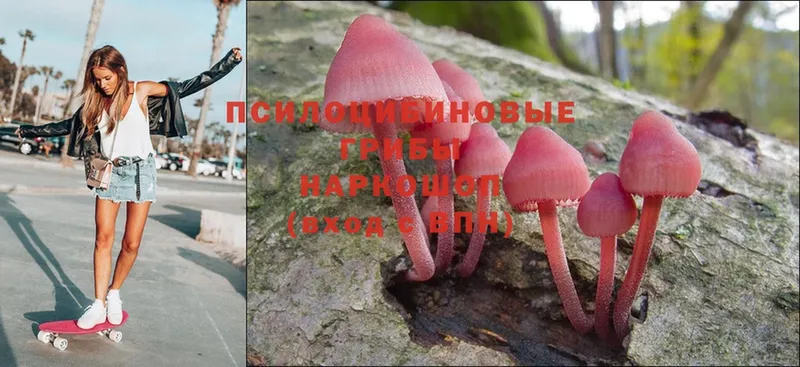 Псилоцибиновые грибы Magic Shrooms  blacksprut рабочий сайт  Губаха 